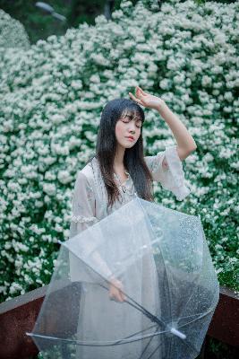 大地网资源在线观看免费高清